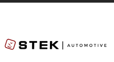 Stek Logo